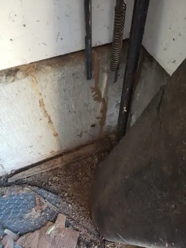 Pest Exterminator in Moraine, OH