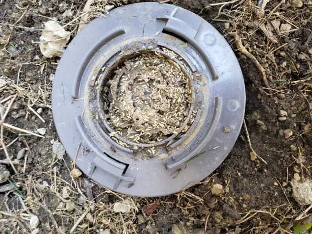 Pest Control Service Pest Control Service