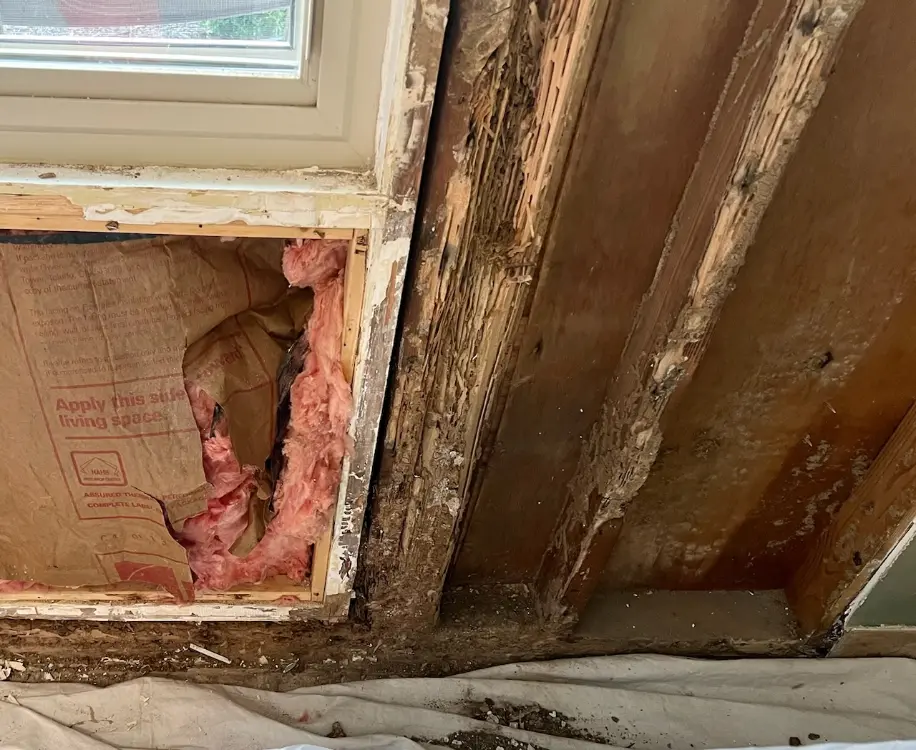 Pest Control Services Pest Control Services